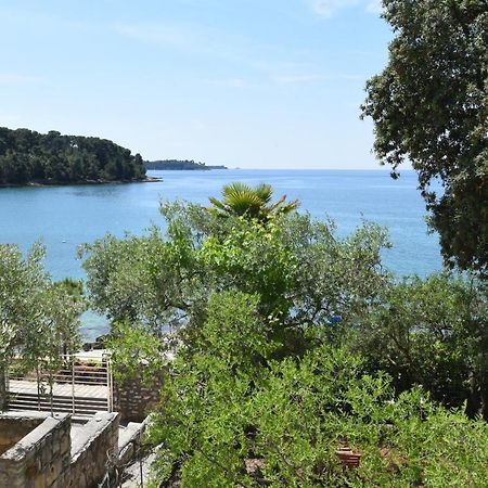 Buric House - Apartments Klasik And Studio Mini Rovinj Buitenkant foto