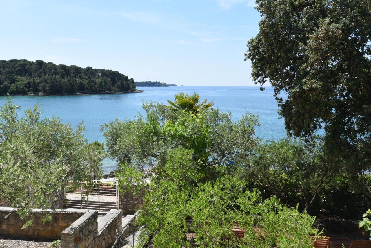 Buric House - Apartments Klasik And Studio Mini Rovinj Buitenkant foto
